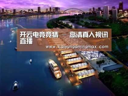 案例展示八