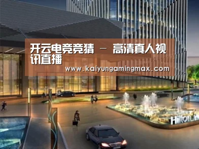 案例展示二