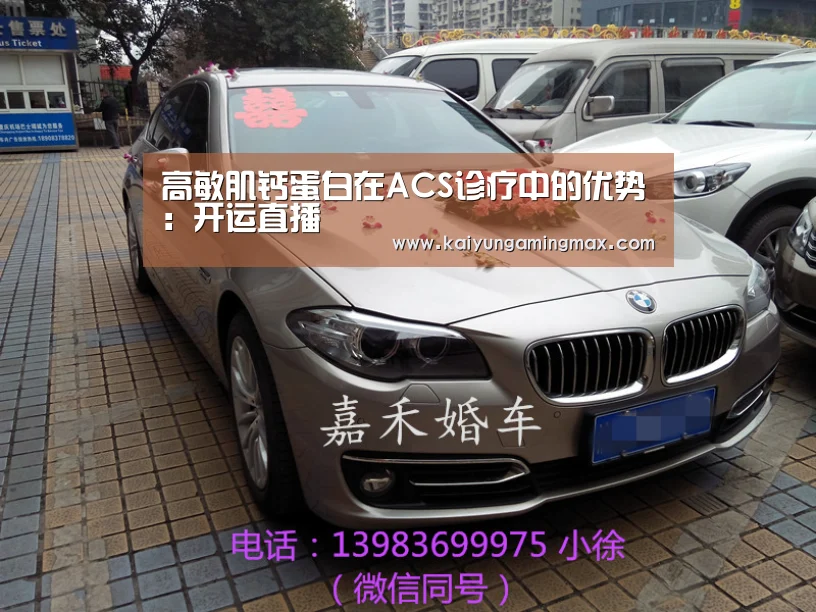 高敏肌钙蛋白在ACS诊疗中的优势:开运直播(图2) 开运官网